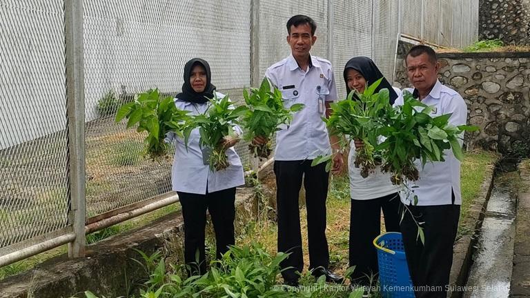 Kakanwil Taufiqurrakhman Apresiasi Panen Sawi Kangkung Hingga Terong di Rutan Sengkang