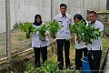 Kakanwil Taufiqurrakhman Apresiasi Panen Sawi Kangkung Hingga Terong di Rutan Sengkang